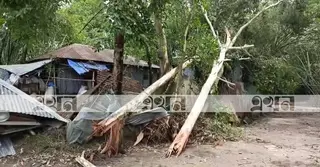 সিরাজগঞ্জে কালবৈশাখী ঝড়ে ব্যাপক ক্ষয়ক্ষতি, ১ জনের মৃত্যু